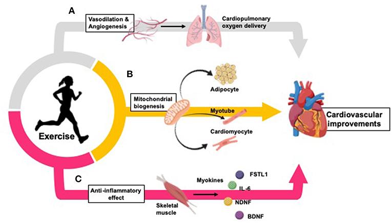 infographic-u-s-heart-disease-statistics-sli